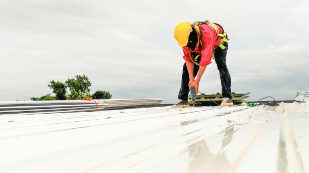 Best Roof Maintenance and Cleaning  in Litchfield Beach, SC